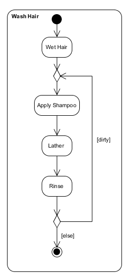 images/activity-diagram_wash-hair-2.gif