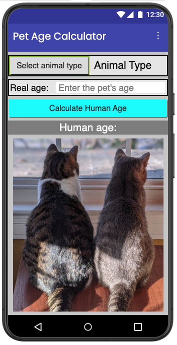 initial user interface