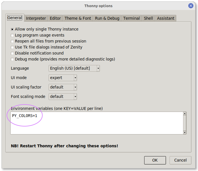Thonny options screenshot