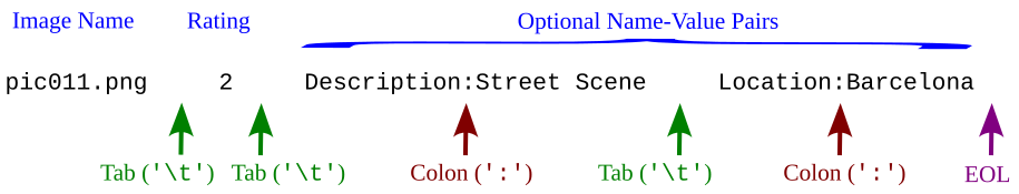 File Format