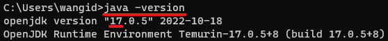 Java version