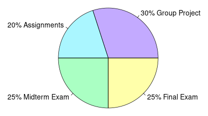 Pie chart: 20% Assignments, 30% Group Project, 25% Midterm Exam, 25% Final Exam