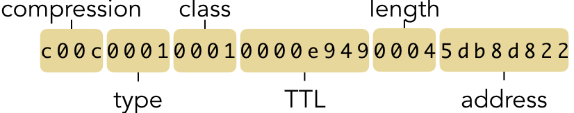 DNS structures are packed in a way that does not preserve word alignment