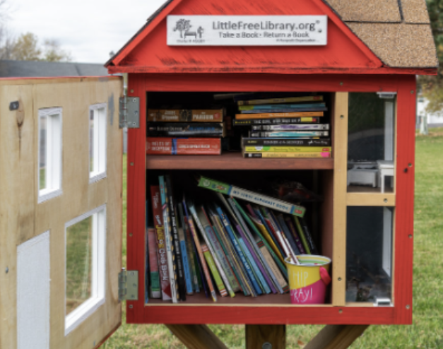 photo of little free library