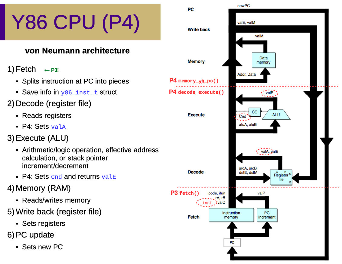 P4 overview