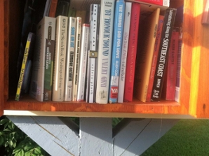 Little Free Library books